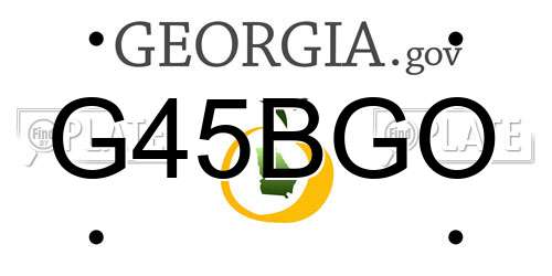 G45BGO Georgia License Plate