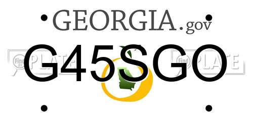 G45SGO Georgia License Plate