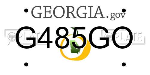 G485GO Georgia License Plate