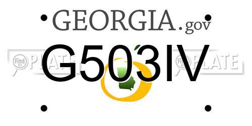 G503IV Georgia License Plate