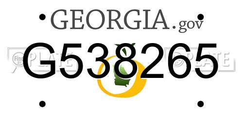 G538265 Georgia License Plate