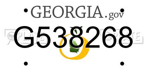 G538268 Georgia License Plate