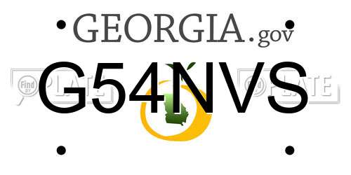 G54NVS Georgia License Plate