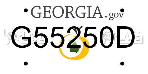 G55250D Georgia License Plate