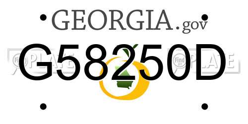 G58250D Georgia License Plate
