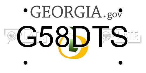 G58DTS Georgia License Plate