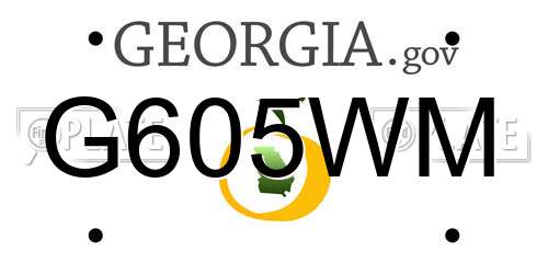 G605WM Georgia License Plate