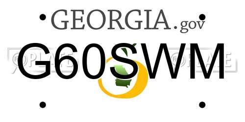 G60SWM Georgia License Plate