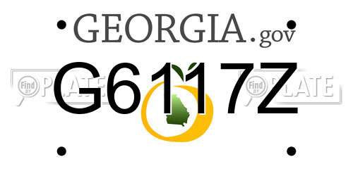 G6117Z Georgia License Plate