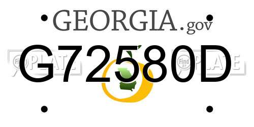 G72580D Georgia License Plate