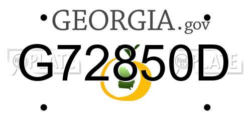 G72850D Georgia License Plate