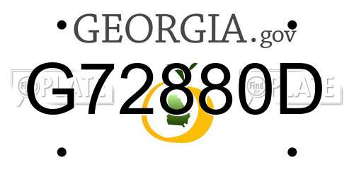 G72880D Georgia License Plate