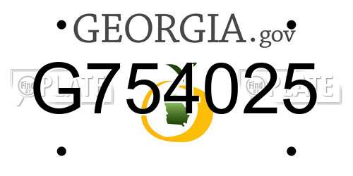 G754025 Georgia License Plate