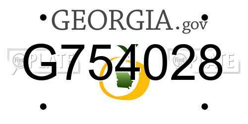 G754028 Georgia License Plate