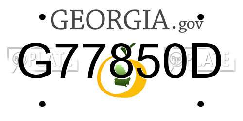 G77850D Georgia License Plate