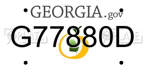 G77880D Georgia License Plate