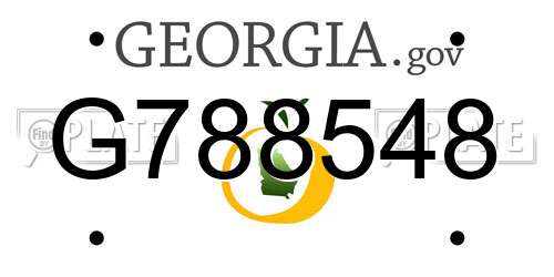 G788548 Georgia License Plate