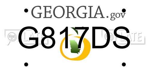 G817DS Georgia License Plate