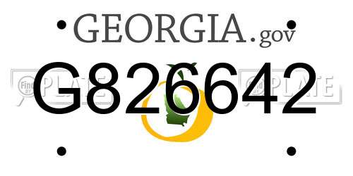 G826642 Georgia License Plate