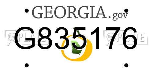 G835176 Georgia License Plate
