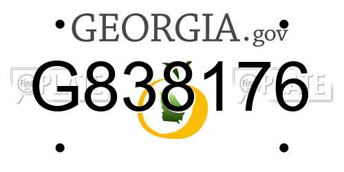 G838176 Georgia License Plate