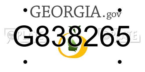 G838265 Georgia License Plate