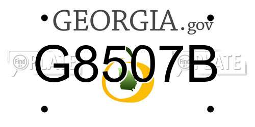 G8507B Georgia License Plate
