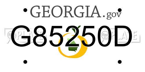 G85250D Georgia License Plate