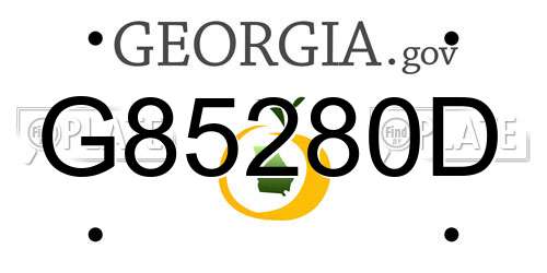 G85280D Georgia License Plate