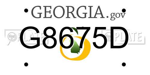 G8675D Georgia License Plate