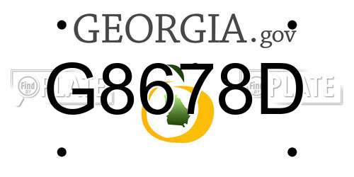 G8678D Georgia License Plate