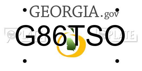 G86TSO Georgia License Plate
