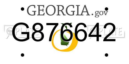 G876642 Georgia License Plate