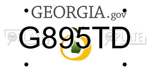 G895TD Georgia License Plate