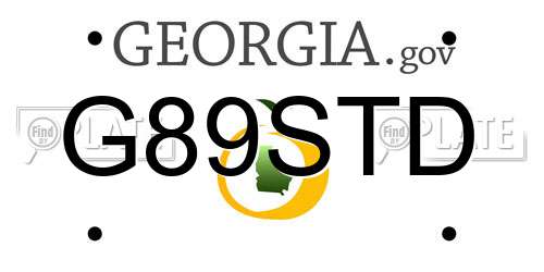 G89STD Georgia License Plate