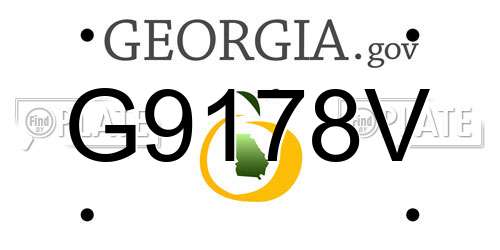 G9178V Georgia License Plate