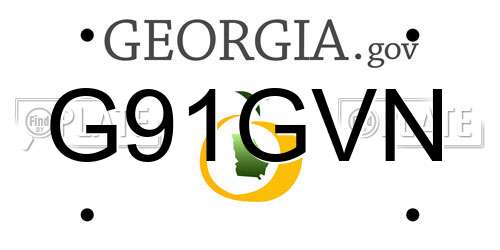 G91GVN Georgia License Plate