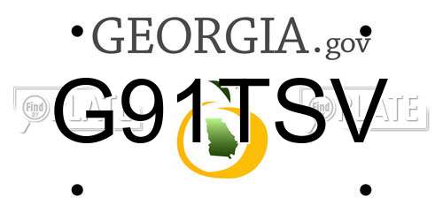 G91TSV Georgia License Plate