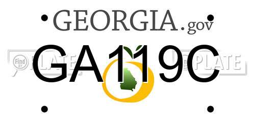 GA119C Georgia License Plate