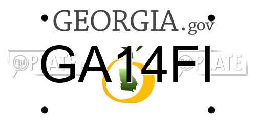 GA14FI Georgia License Plate