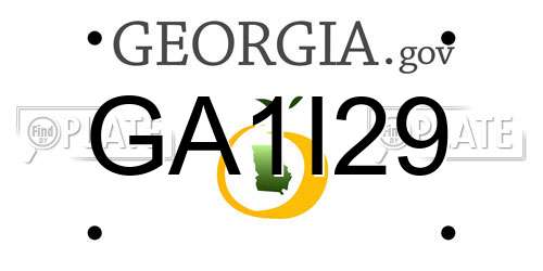 GA1I29 Georgia License Plate
