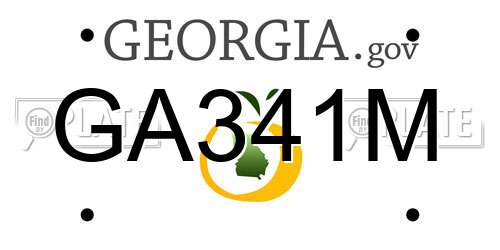 GA341M Georgia License Plate