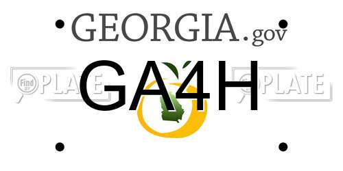 GA4H Georgia License Plate