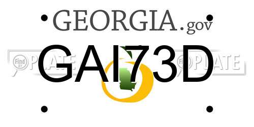 GAI73D Georgia License Plate