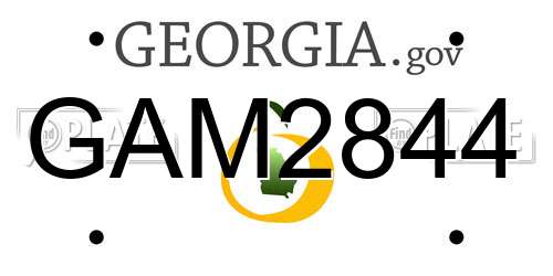 GAM2844 Georgia License Plate