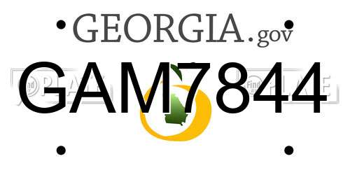 GAM7844 Georgia License Plate
