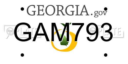 GAM793 Georgia License Plate
