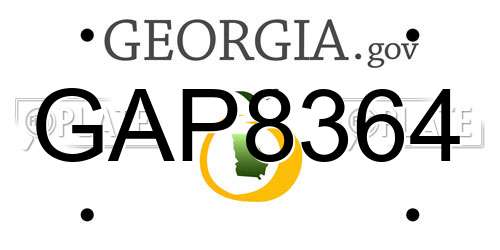 GAP8364 Georgia License Plate