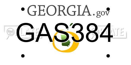 GAS384 Georgia License Plate