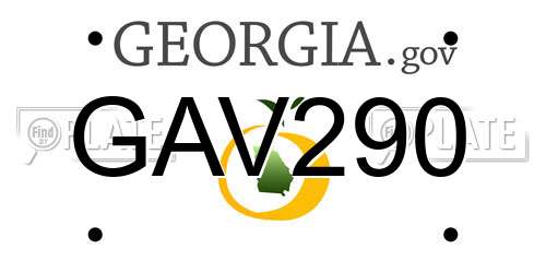 GAV290 Georgia License Plate